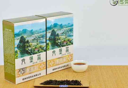 中茶六堡茶深山野韵-中茶六堡茶山水盒