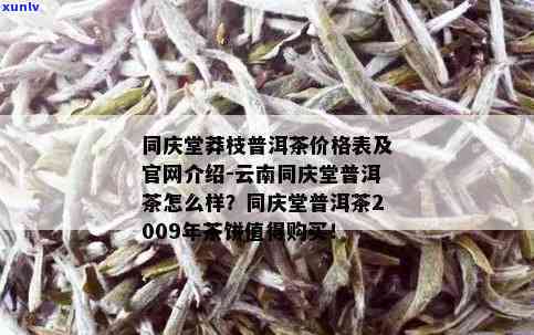 同庆堂普洱怎么样？口感、品质如何？官方2009年茶饼价格及评价一网打尽！