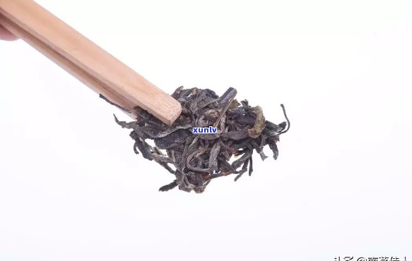 怎么区分茶的年份，如何区分茶叶的年份：详细指南