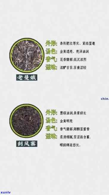 冰岛的古树茶：茶叶种类、品种及口感解析