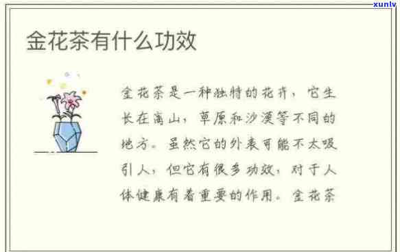 掌握正确泡法，普洱茶助你快速瘦身：无添加的自然减肥秘诀