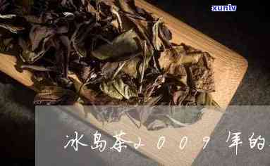 99冰岛茶什么意思-96年冰岛茶