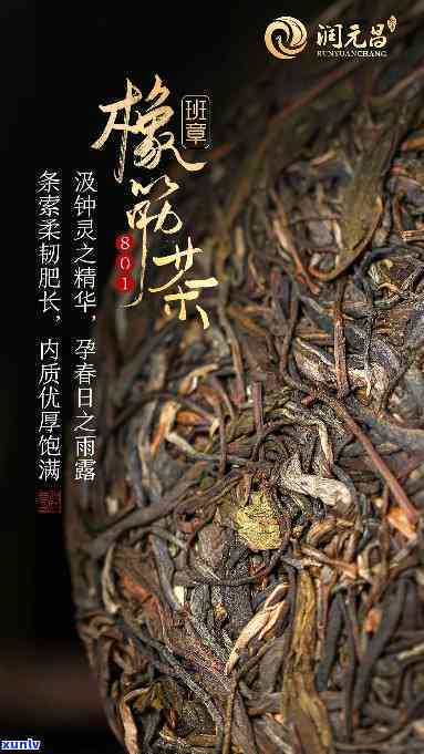 勐海班章橡筋生态茶-班章橡筋 勐海茶厂