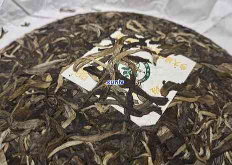 2005雀班章茶王，探寻2005年雀班章茶王的传奇故事与独特魅力