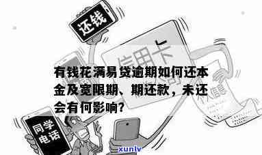 有钱花逾期还款可以吗？怎样还款及结果，已逾期能否再借？只还本金可行吗？