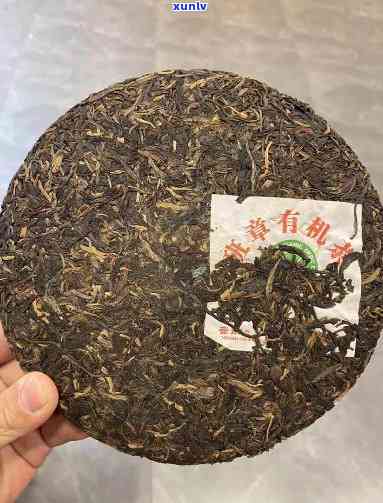 班章有机茶有收藏价值吗？2004甲申年珍藏品，与老班章的区别，生茶与生态茶的比较