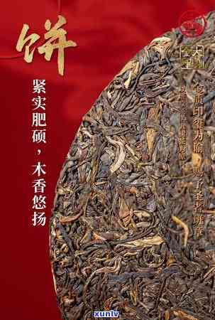 2004年明茶厂班章木早春茶，2004年明茶厂 班章木 早春茶