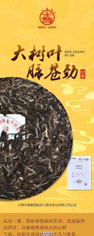 班章核心产区大树茶-班章大树茶典藏品