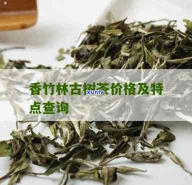 竹子古树茶近十年价格走势分析