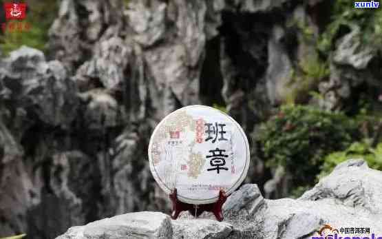 班章生态茶雀饼，品味珍稀，享受天然：探索班章生态茶雀饼的独特魅力