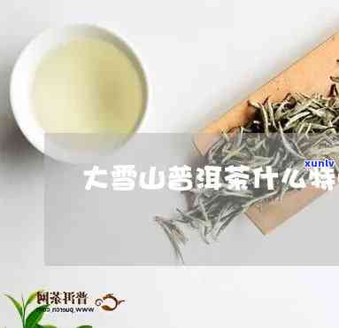 大雪山普洱茶怎么样，探秘大雪山：普洱茶的品质与独特之处