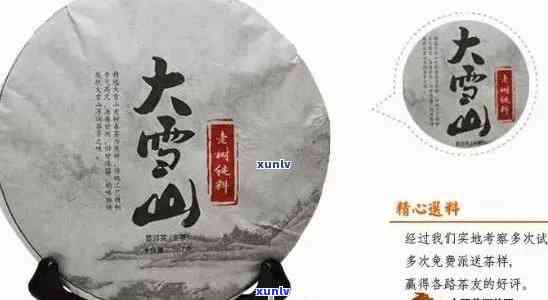 大雪山普洱茶怎么样，探秘大雪山：普洱茶的品质与独特之处