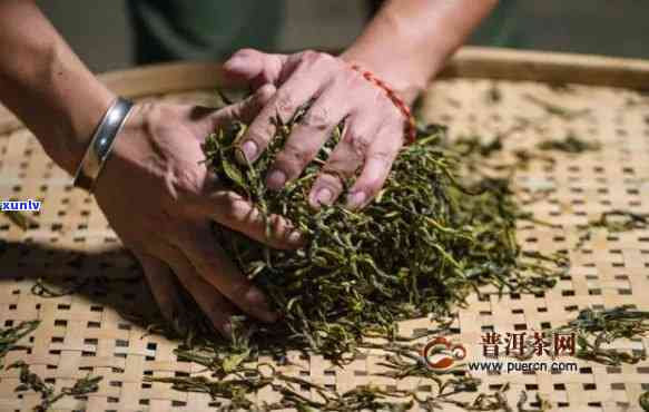 门红茶的生产工艺，探秘门红茶：揭秘其独特的生产工艺