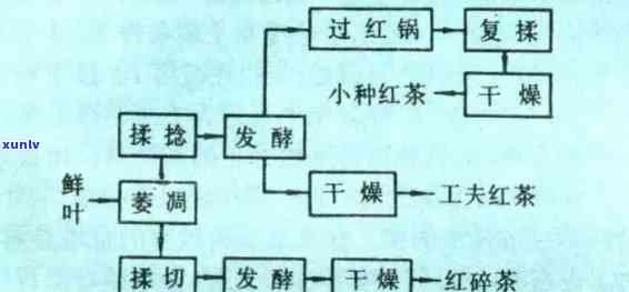 门红茶的生产工艺，探秘门红茶：揭秘其独特的生产工艺