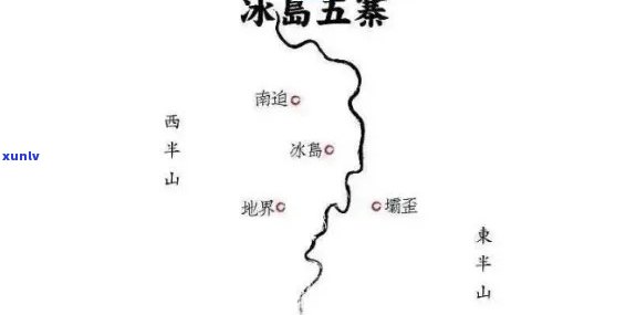 冰岛茶，哪个山头的味道更胜一筹？