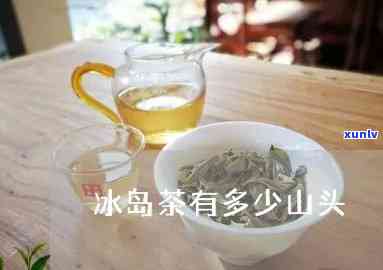 冰岛茶，哪个山头的味道更胜一筹？