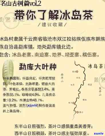 冰岛和昔归属于什么茶？产地、价格及距离全解析