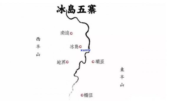 冰岛茶冰岛五寨特点-冰岛茶五寨是指的什么