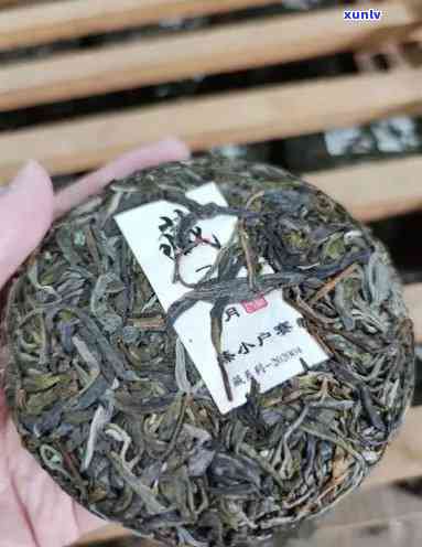 冰岛老寨茶厂，探秘冰岛老寨茶厂：品味千年古树普洱的魅力