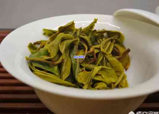 普耳茶是生好还是熟茶好，普洱茶：生茶和熟茶，哪种更好？