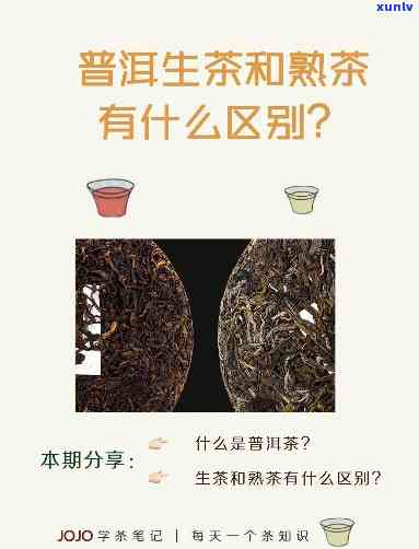 普洱生茶和熟茶的区别及作用