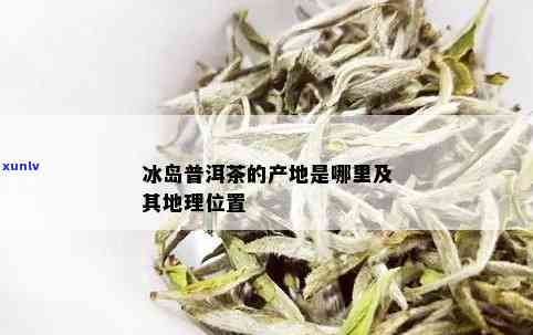 冰岛茶是哪里的特产？探究其与产地之谜