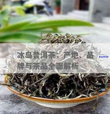 冰岛茶是哪里的特产？探究其与产地之谜