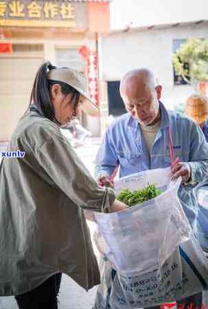 南航茶点介绍：品种、口味、供应时间及价格一应俱全，满足您的味蕾与需求