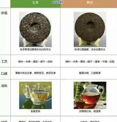 茶叶分生茶和熟茶：概念解析与区别说明