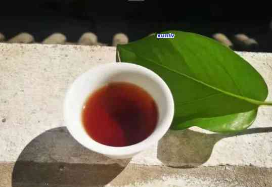 探究昔归茶：是生茶还是熟茶？了解其特点及分类