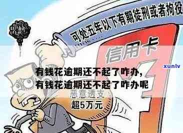 有钱花逾期无力偿还怎么办，陷入困境：有钱花逾期无力偿还的解决办法