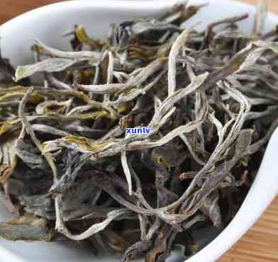 昔归古树茶生茶有什么效果？价格全解析