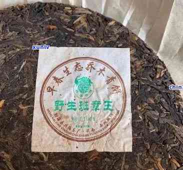 班章野生木茶兴海-班章野生木茶 兴海