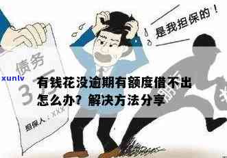 有钱花不存在逾期，但无法借款，怎样解决？