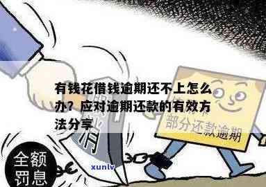 有钱花逾期：逃避债务还是正常还款？面对催债怎样应对？