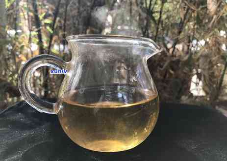 深入解析：新班章茶口感特点与古树茶的区别