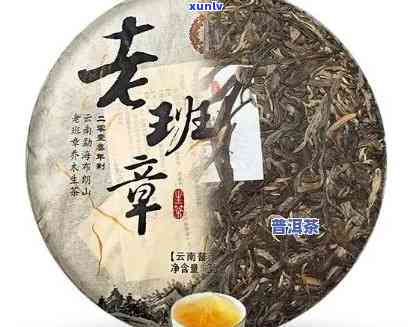 老班章古树茶王价格，探寻古韵之味：老班章古树茶王的价格解析