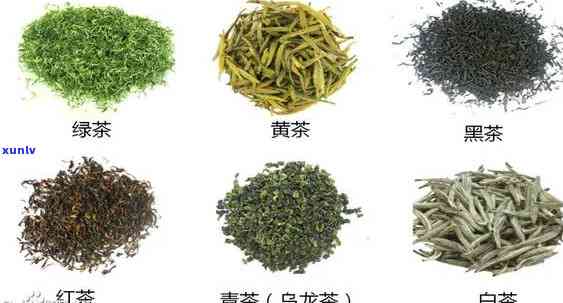 哪些茶叶属于红茶，哪些属于绿茶？详解各类茶叶种类