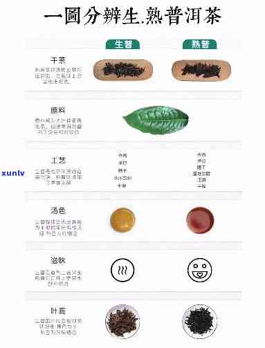 如何分辨生茶与熟茶叶：图文详解