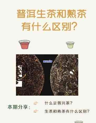 如何分辨生茶和熟茶，生茶与熟茶的鉴别 *** ：你必须知道的关键点