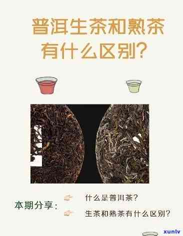 如何分辨生茶和熟茶-如何分辨生茶和熟茶的区别