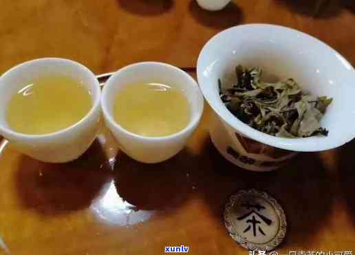 藏生茶喝熟茶品老茶还是新茶，《藏生茶、熟茶、老茶、新茶，你更喜欢哪一种？》