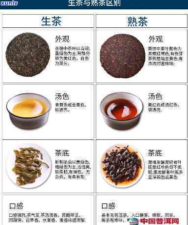 怎么分辨熟茶和生茶的区别：图片、功效与识别 *** 全解析