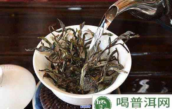 革登是生茶还是熟茶-革登是生茶还是熟茶好