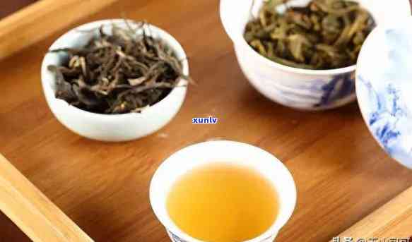 茶叶生茶还是熟茶好，茶叶选择：生茶与熟茶，哪种更好？