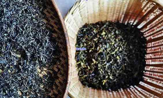 生茶怎样  成熟茶叶，从叶到成品：详解生茶  成熟茶叶的过程