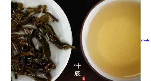 单枞是生茶还是熟茶叶，探究单枞茶的属性：它是生茶还是熟茶？