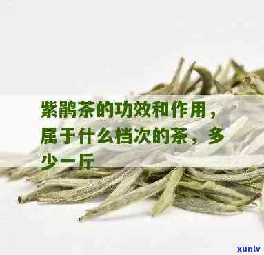 紫鹃属于什么茶，揭秘紫鹃：它属于哪种茶叶？