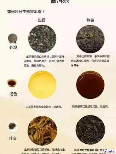 普洱茶：怎样区分生茶和熟茶？图解全面解析