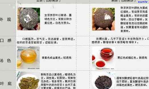 普洱茶生茶和熟茶如何区分？从特点、品质、图片三个方面全面解析